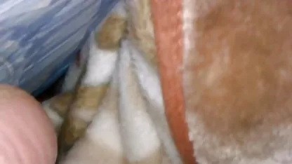 ドイツの待機 吹石 一恵 おっぱい